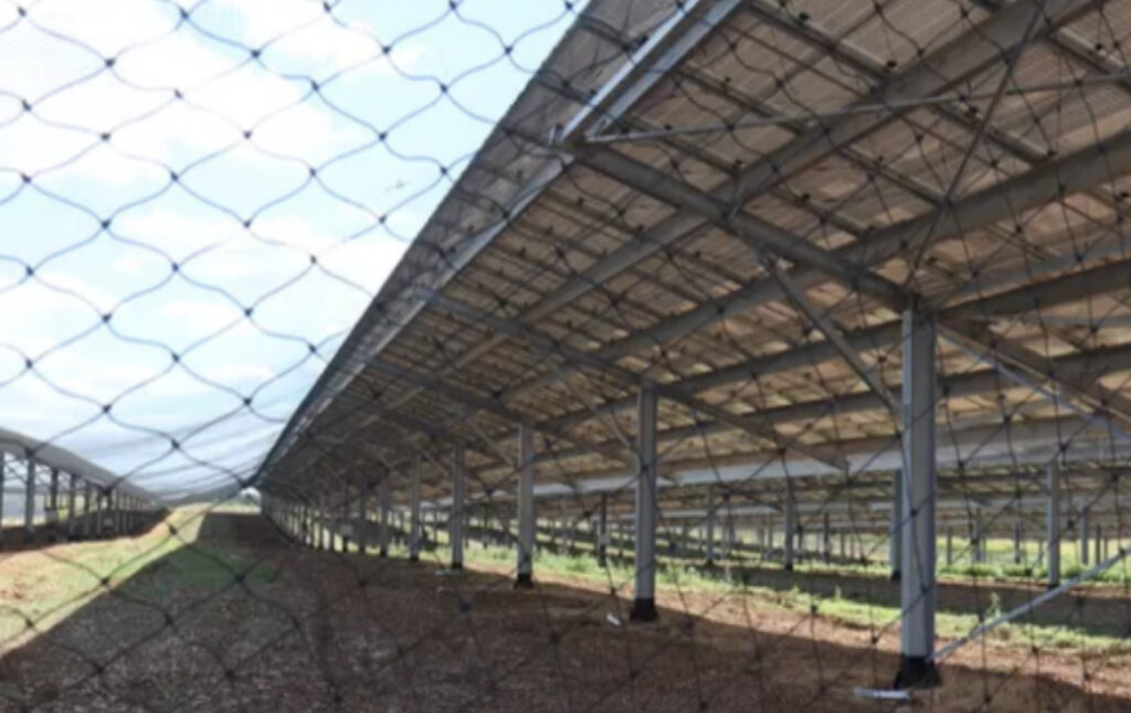 Agrivoltaisme 4