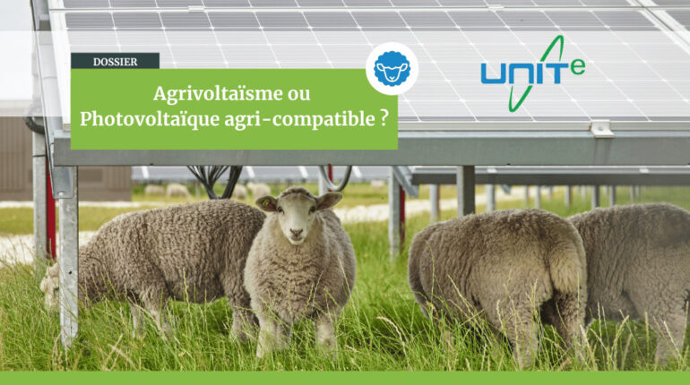 Agrivoltaïsme vs photovoltaïque agri compatible
