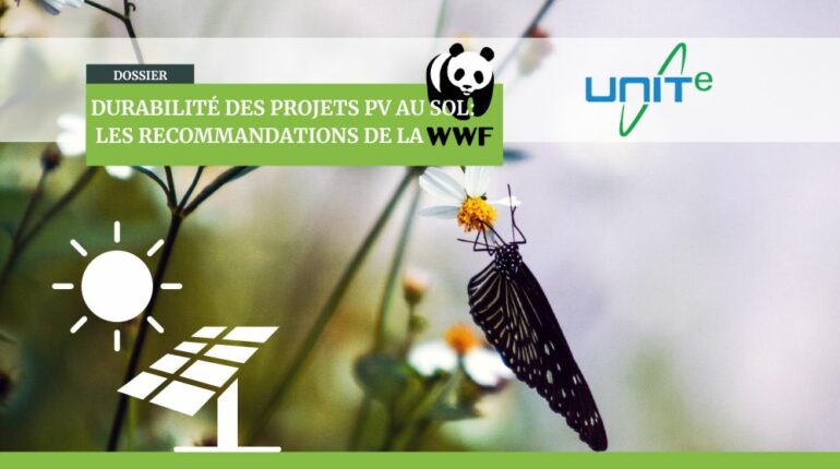 Durabilité du photovoltaïque au sol, les recommandations de la WWF
