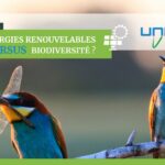 Ep. 22 énergies renouvelables vs biodiversité (2)