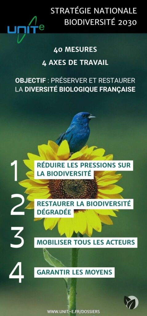Les 4 grands axes de la Stratégie Nationale Biodiversité 2030 en France