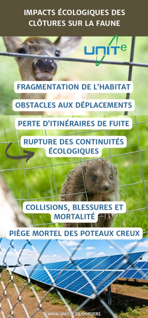La faune sauvage est impactée par la multiplication des clôtures qui entourent les centrales solaires photovoltaïques. L'éco-conception est une solution.