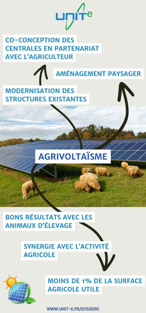 Agrivoltaïsme les avantages et les grandes caractéristiques