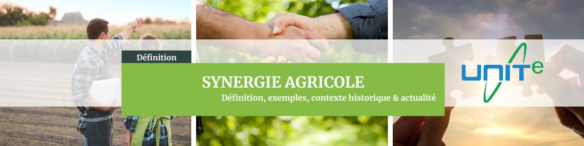 Synergie agricole definition