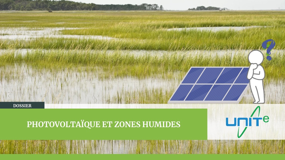 Construire un projet photovoltaïque sur zone humide