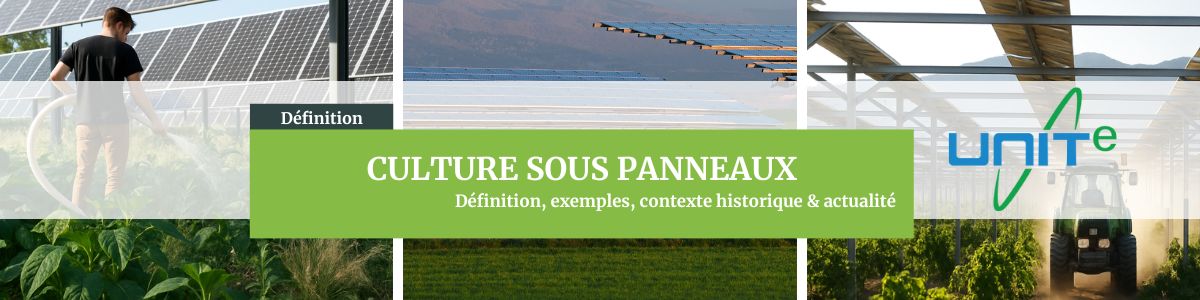 Définition culture sous panneaux