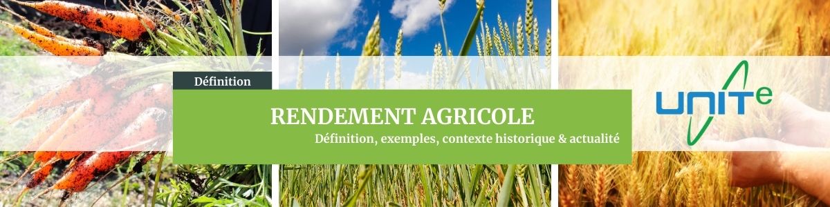 Definition rendement agricole