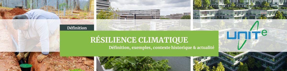 Définition résilience climatique