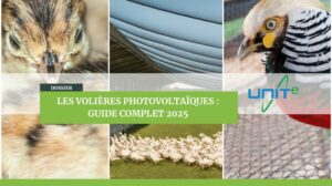 Dossier spécial volières photovoltaïques guide complet unite
