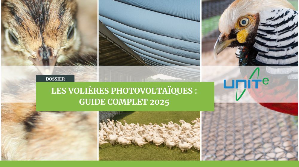 Dossier spécial volières photovoltaïques guide complet unite