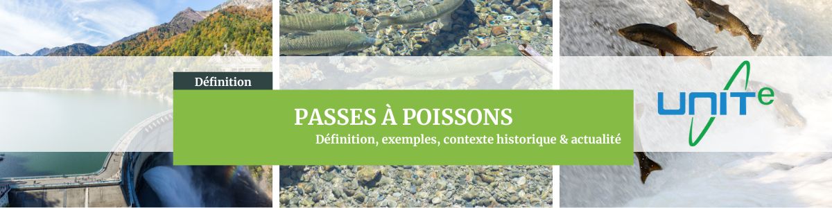 Passes à poissons – définition complète et explications