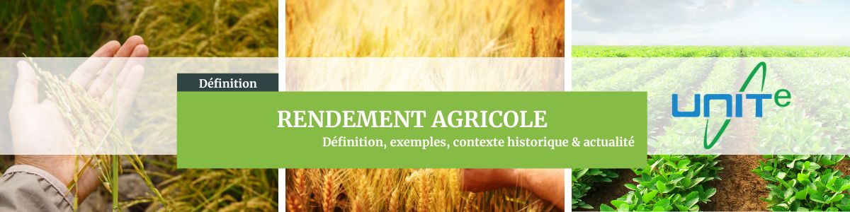 Rendement Agricole – Définition claire, explications et enjeux